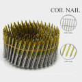 Professional Spiral Concrete Nail From China